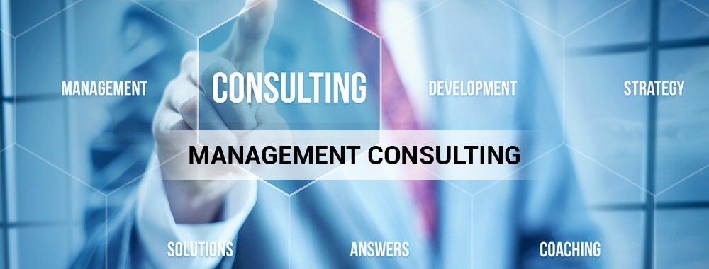 operations consulting